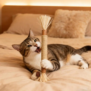 Cat Teeth Cleaning Stick - Additional Image