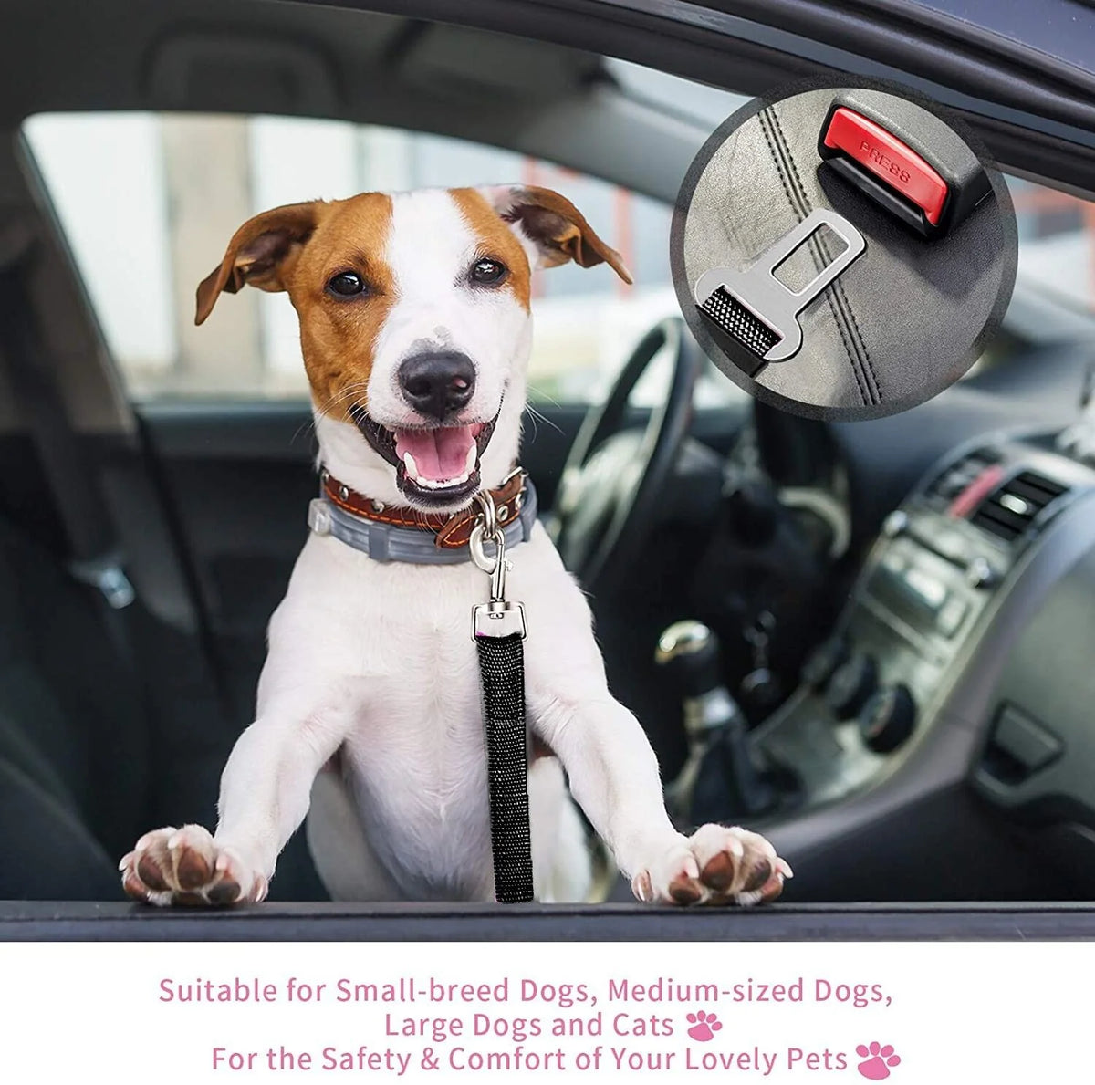The Lumora SecureTravel Heavy-Duty Pet Seatbelt (2-Pack)