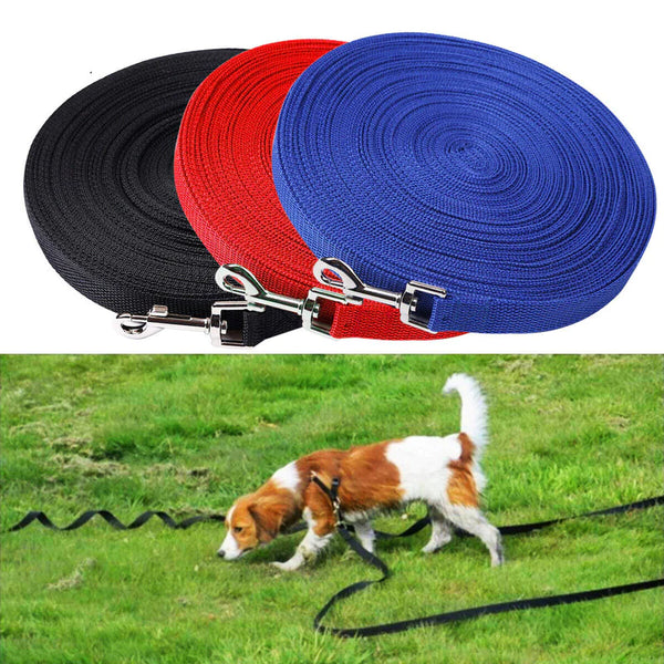 The Lumora EliteCommand Long-Line Training Lead
