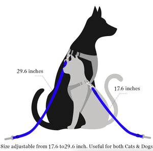 The Lumora SecureTravel Heavy-Duty Pet Seatbelt (2-Pack)