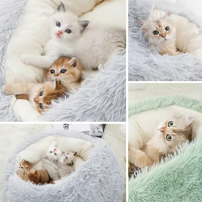 2-in-1 Luxury Winter Plush Cat Bed & Cushion House