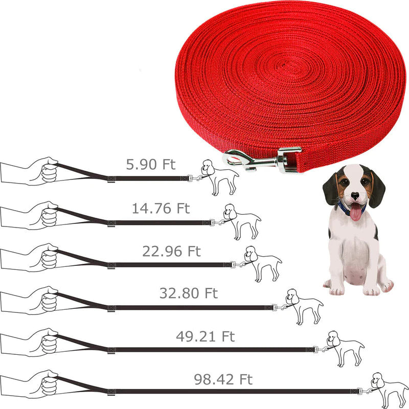 The Lumora EliteCommand Long-Line Training Lead