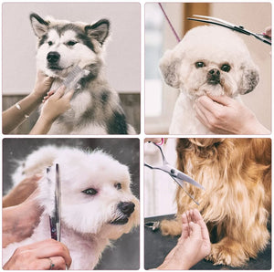 The Lumora Pro-Glide Pro Pet Grooming Shear Kit