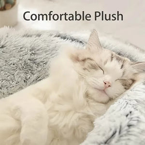 2-in-1 Luxury Winter Plush Cat Bed & Cushion House