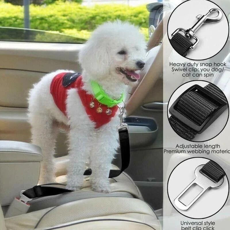 The Lumora SecureTravel Heavy-Duty Pet Seatbelt (2-Pack)