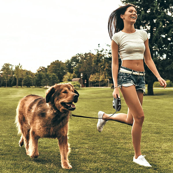 All-in-One Reflective Pet Leash