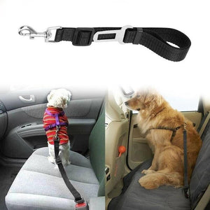 The Lumora SecureTravel Heavy-Duty Pet Seatbelt (2-Pack)