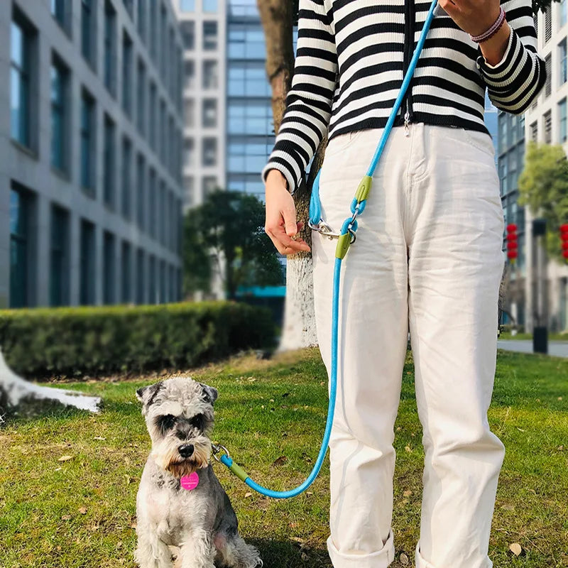 Reflective Dog Walking Leash - Additional Image