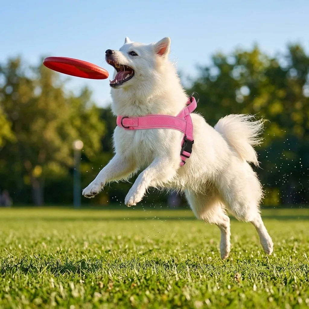 Adjustable Control Dog Harness