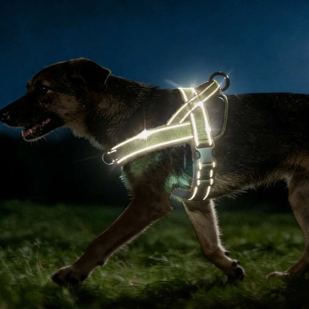 Adjustable Control Dog Harness - Additional Image