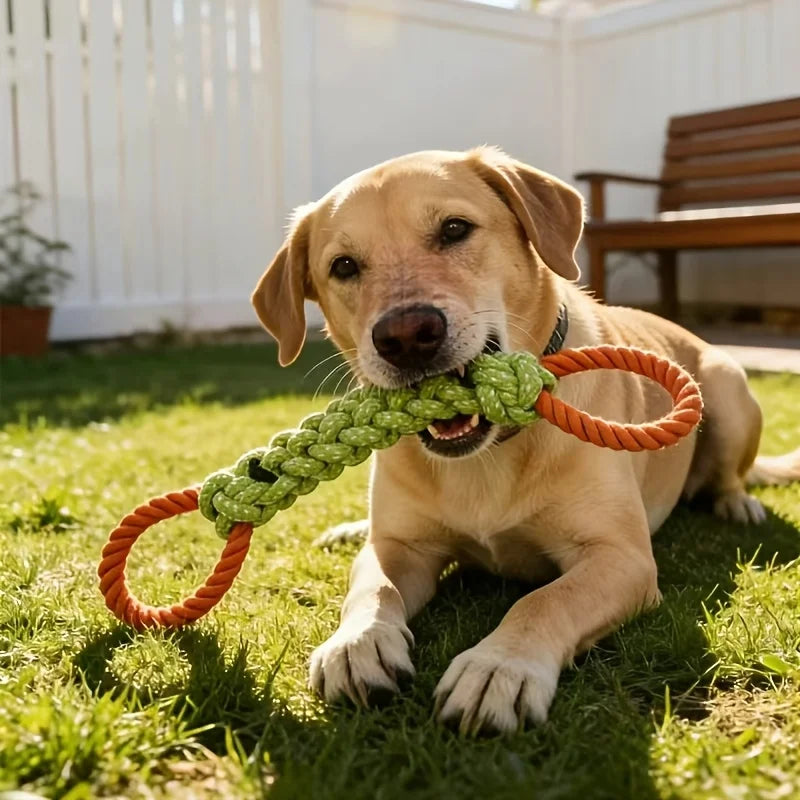 Dog Dental Rope Toy