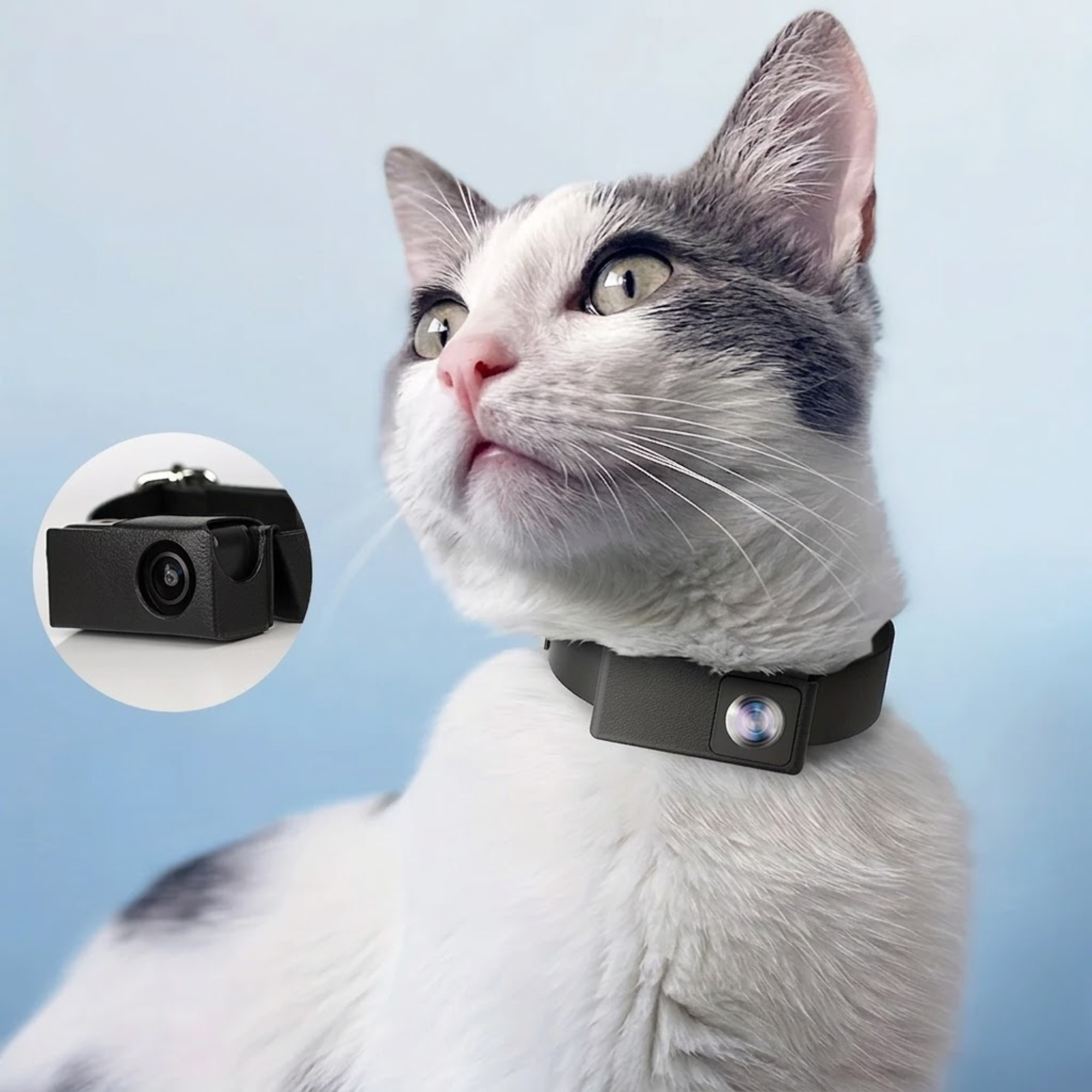 HD Pet Collar Camera - Additional Image