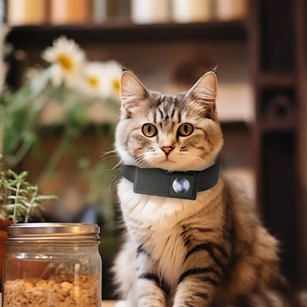 HD Pet Collar Camera
