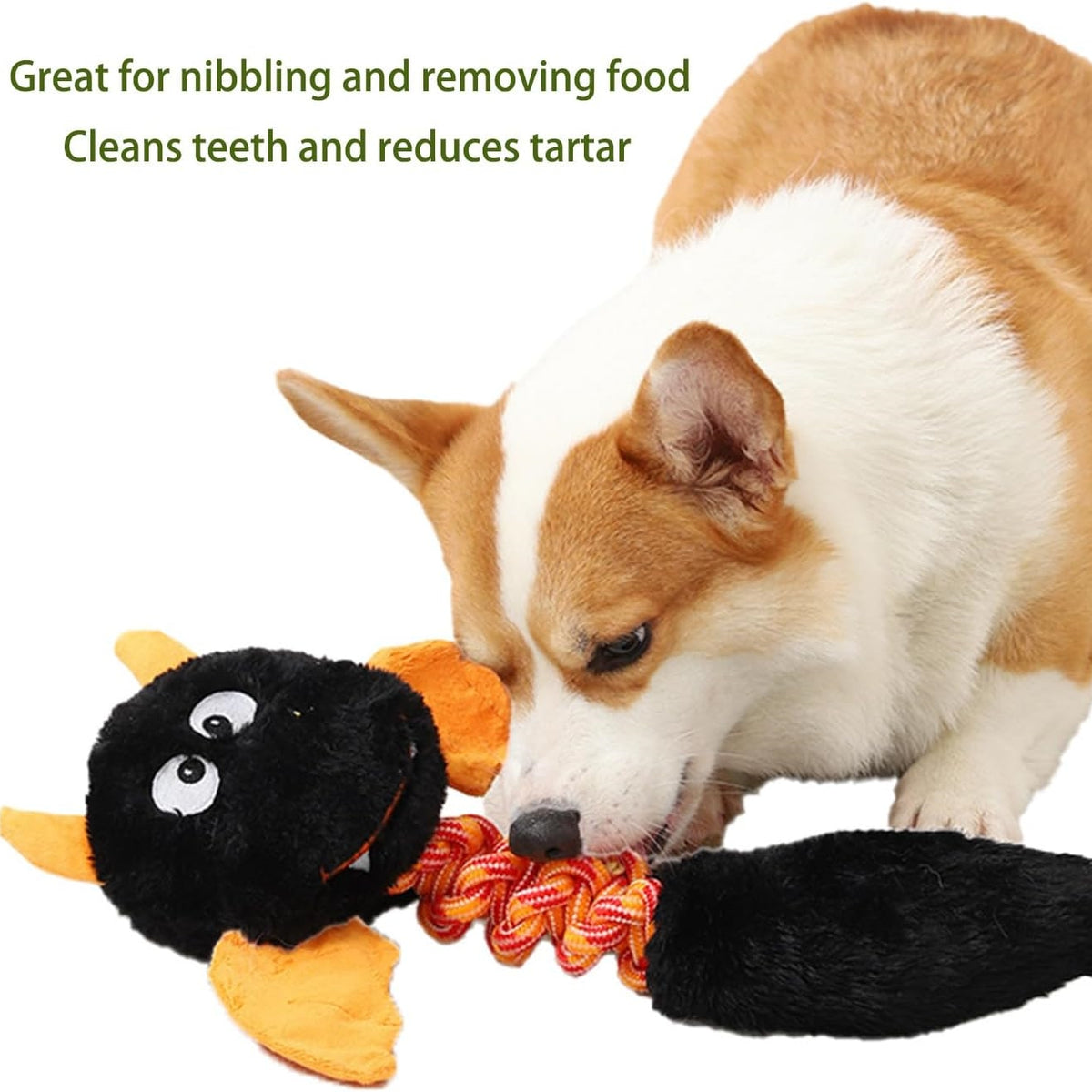 PlayPals™ Squeaky Plush Toy for Dogs & Cats
