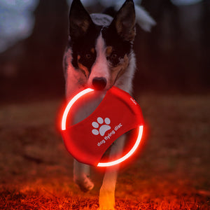 Luminous Dog Training Disc - Additional Image